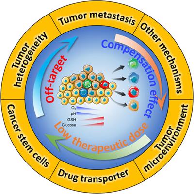 Emerging Nano-Based Strategies Against Drug Resistance in Tumor Chemotherapy